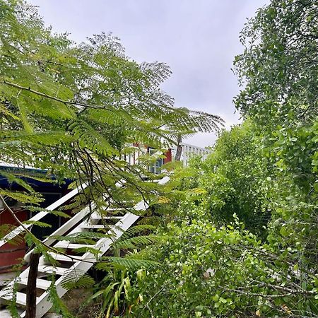 Casa Kubler Bed & Breakfast Puerto Ayora  Ngoại thất bức ảnh