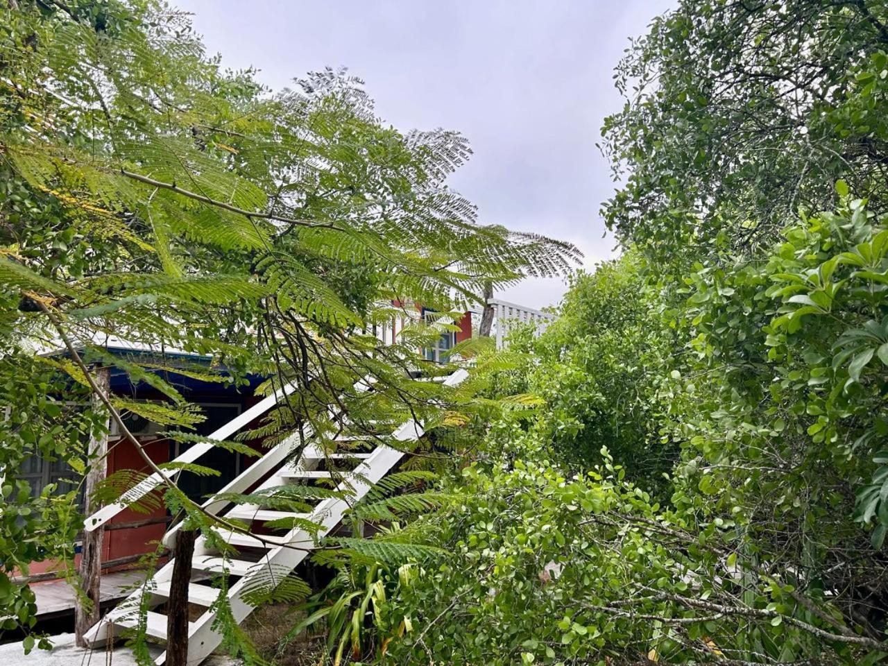 Casa Kubler Bed & Breakfast Puerto Ayora  Ngoại thất bức ảnh